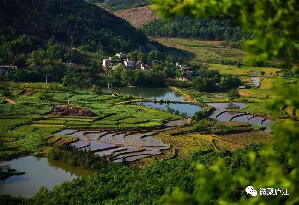 白湖镇西厢:九紫山麓披锦绣,"独"好风情在这边