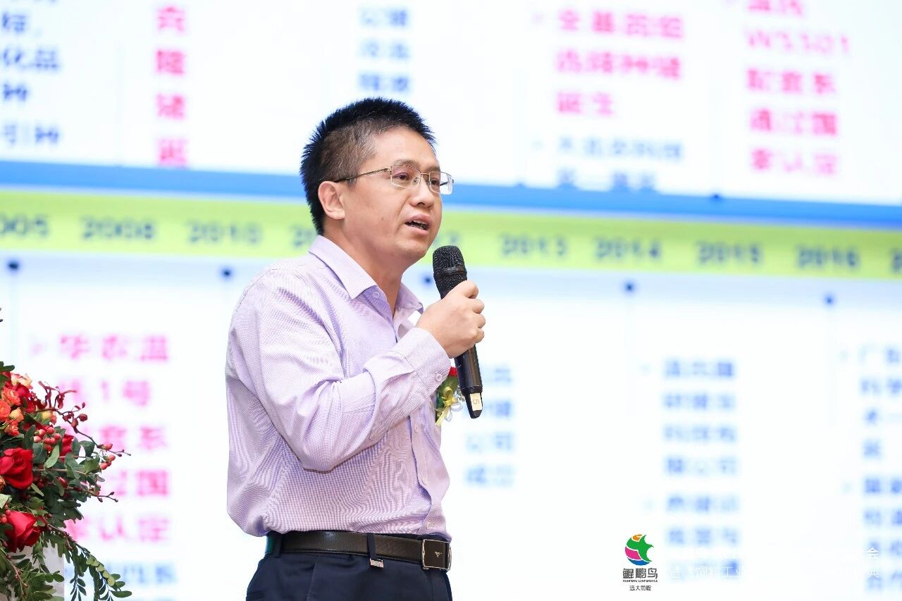 非瘟下，种猪育种受到什么影响？温氏育种技术及应对方案公开！