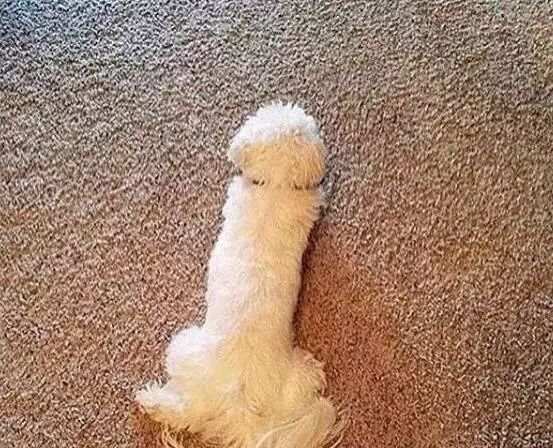 又黄又污的搞笑图片合集,内涵满满!老司机一看就懂,国内二次元漫画交