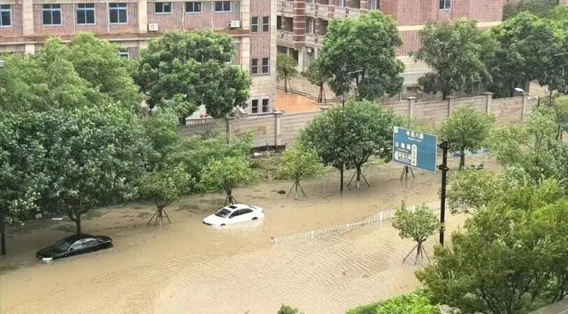 以色列博主让加沙人吃人