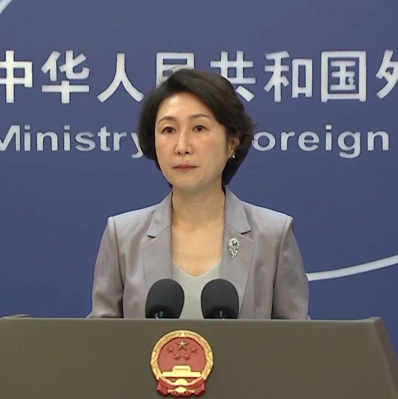 毛宁:中国是间谍活动的受害者