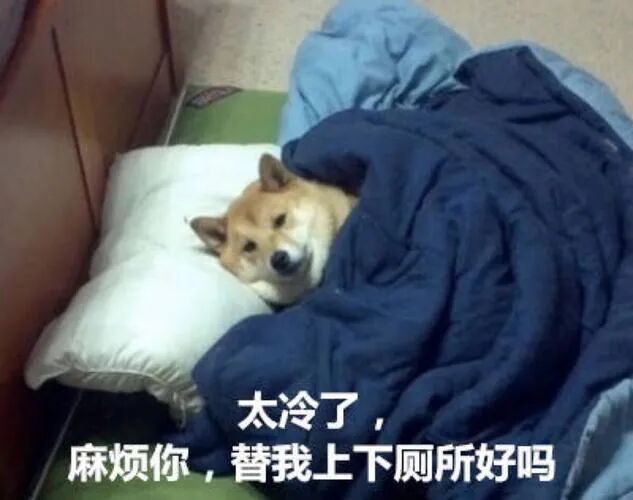 朋友圈刷屏的"广州下雪",回应了 - 南方都市报 - 瓦斯阅读