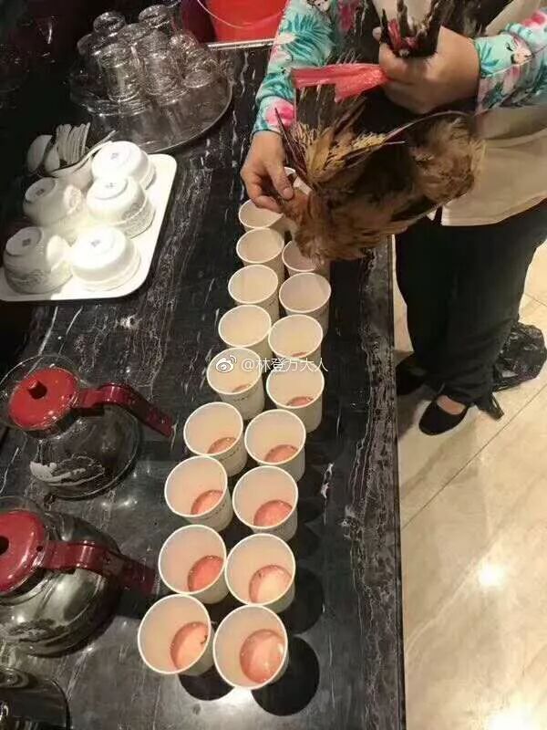 传知名房企开誓师大会集体喝鸡血！员工:没真喝