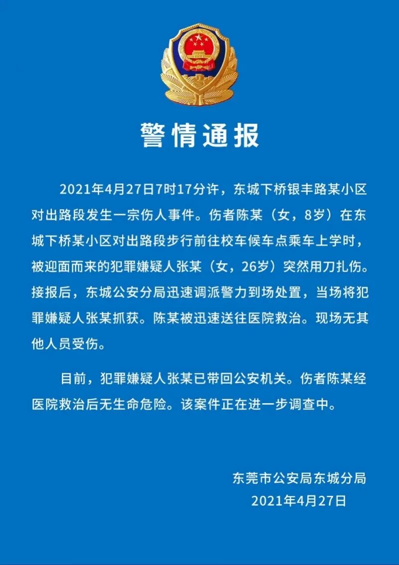 广东8岁女生上学路上被一女子持刀刺伤警方通报