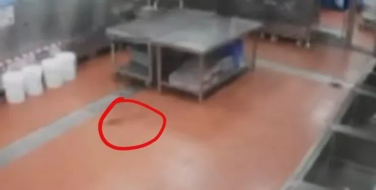 深圳發(fā)文支持商務投促領域，涵蓋提振消費、吸引外資等八方面