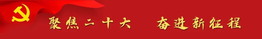 乡村振兴议论文1000字_农业推广乡村振兴论文3000字_乡村振兴20字方针