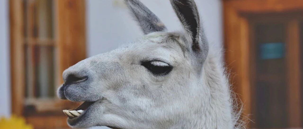 一口牙，一套房？你“牙务”自由了没