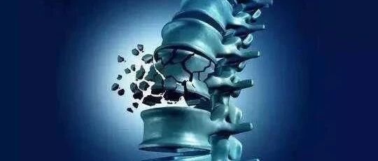 强健骨骼，远离沉默的凶手