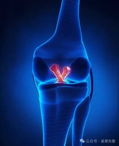 中医定向透药治疗什么中医适宜技术——中医定向透药疗法_https://www.jmylbn.com_新闻资讯_第6张