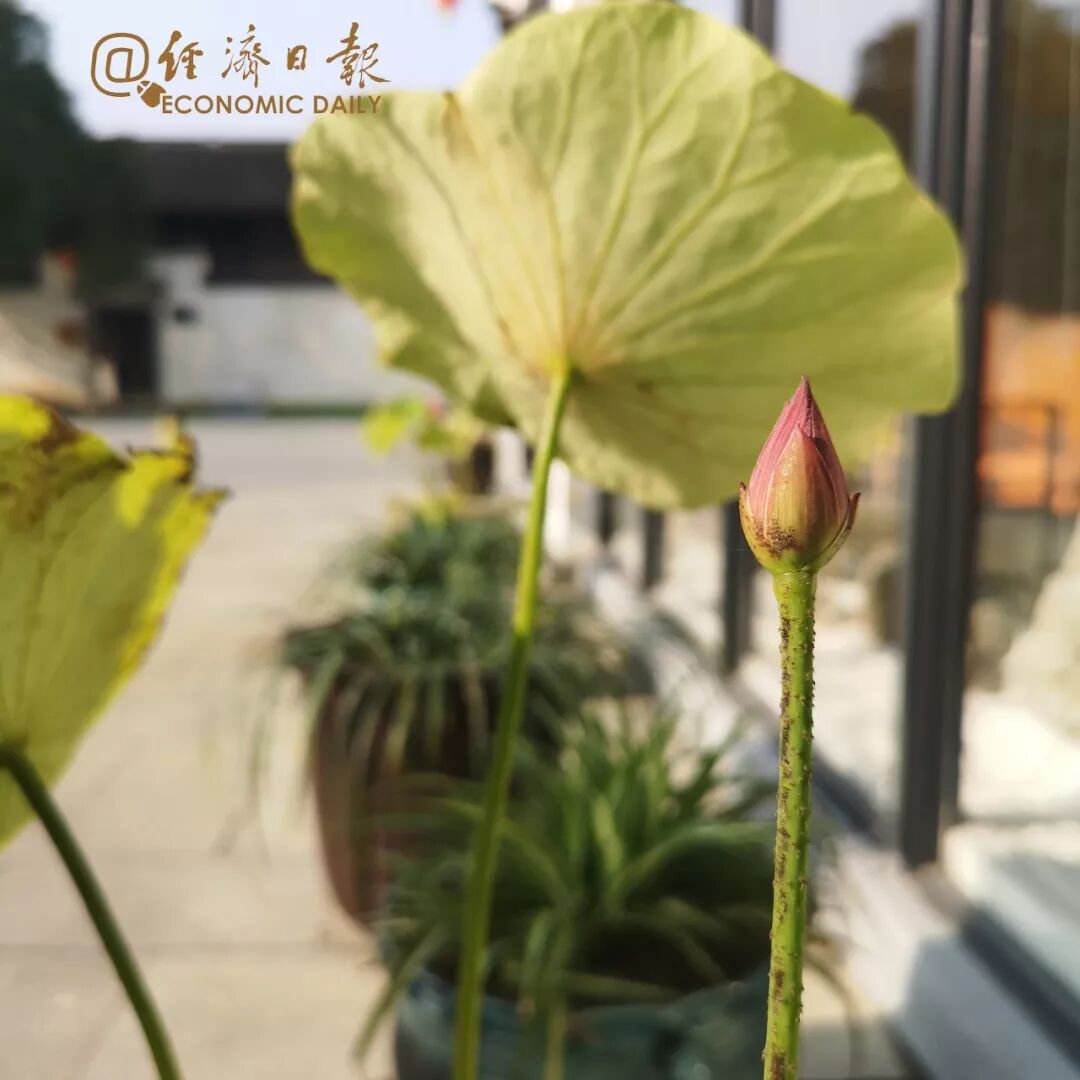 



经济日报丨财经早餐【12月29日】
