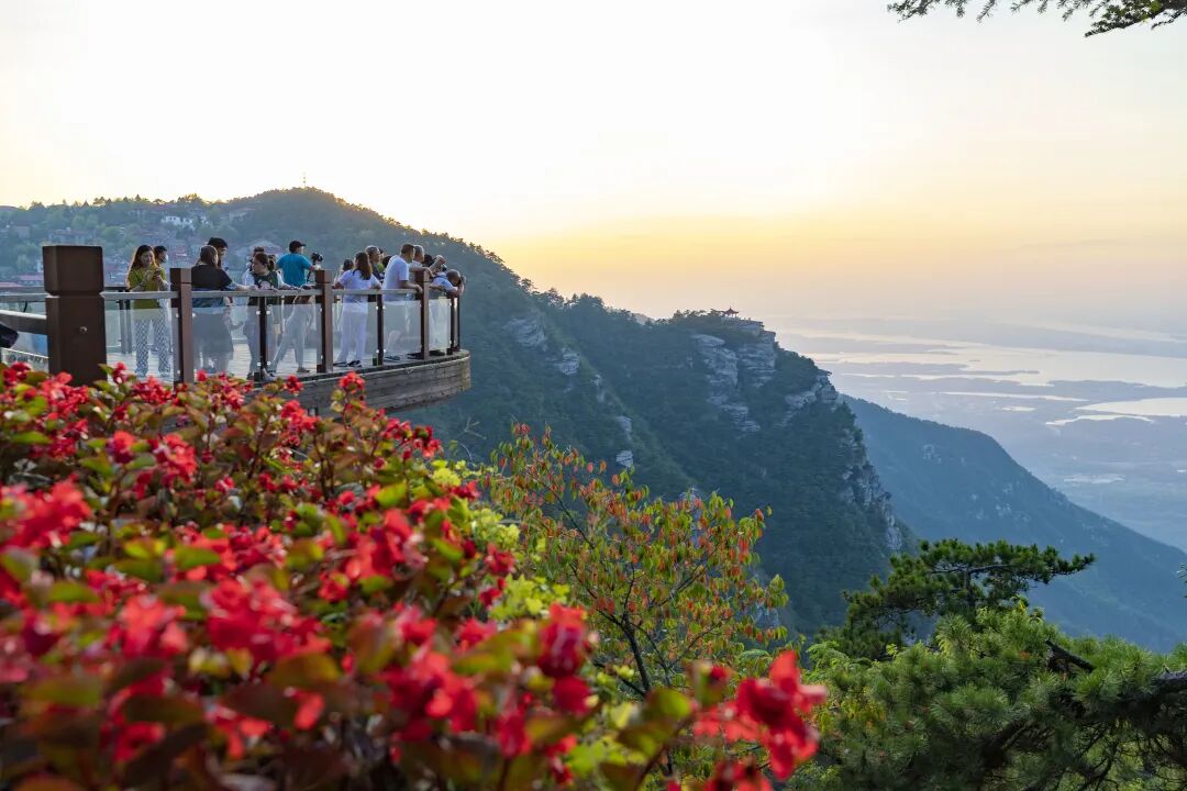 汇总|正确认识和把握碳达峰中和上中下！