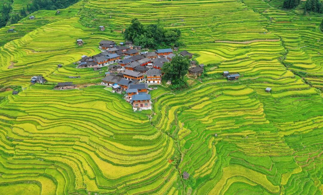 汇总|正确认识和把握碳达峰中和上中下！