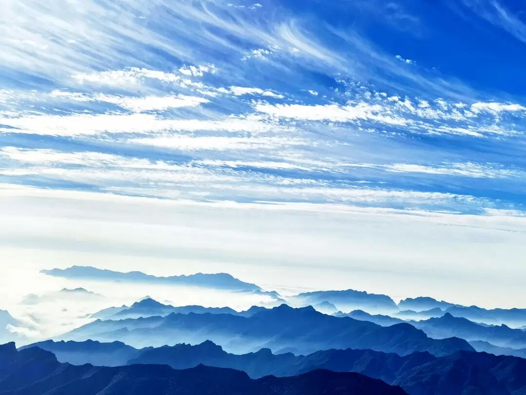 汇总|正确认识和把握碳达峰中和上中下！