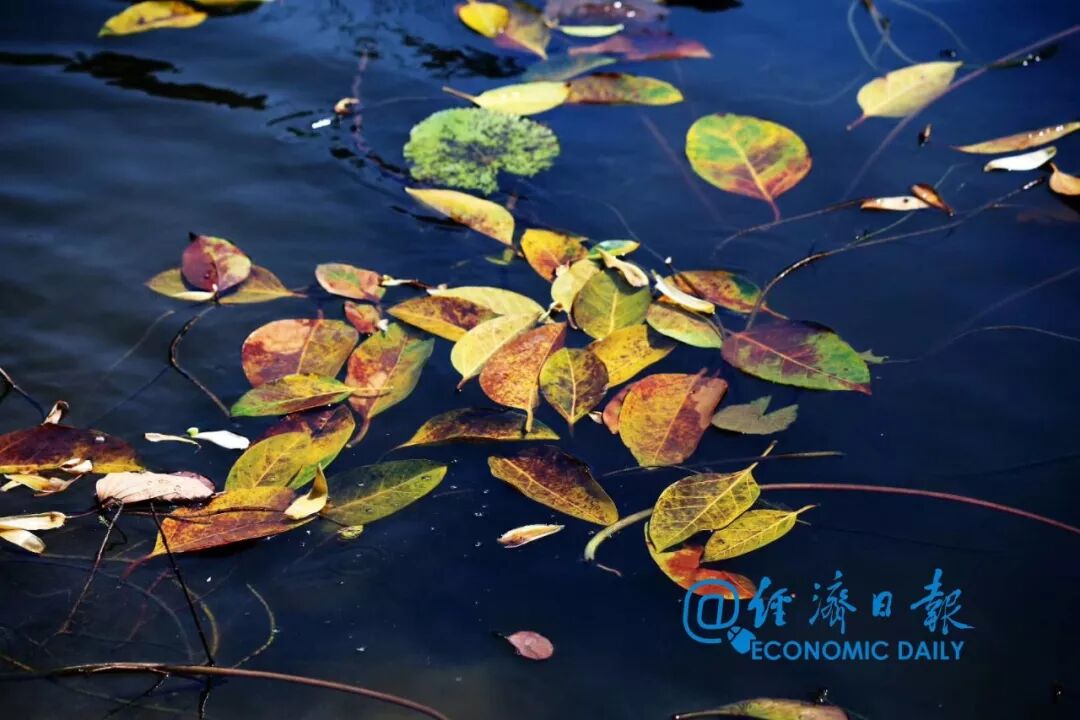 正月里的春天 抚州新闻网