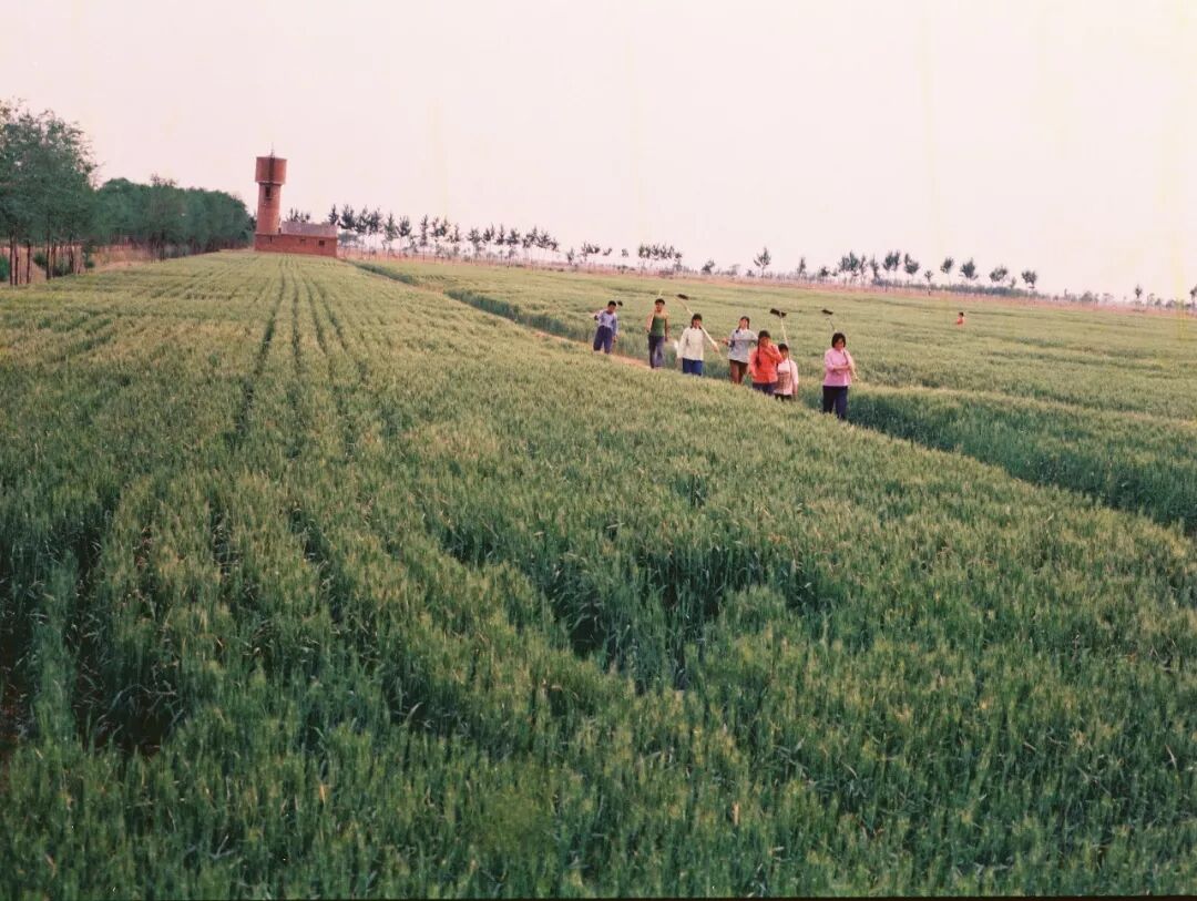 不忘初心！这些年轻人，造就了农业科技的“两弹一星”