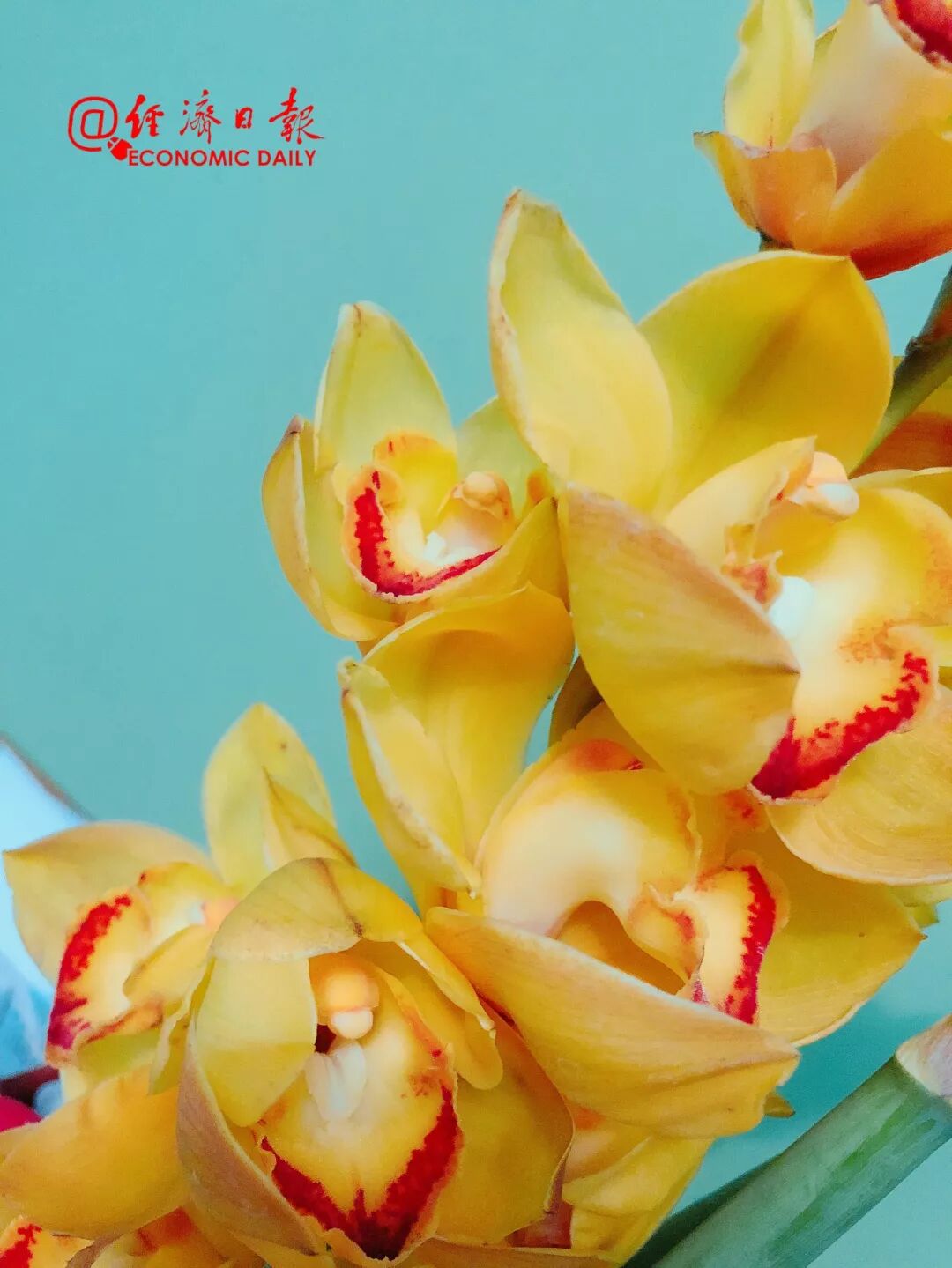 



经济日报丨财经早餐【12月30日】
