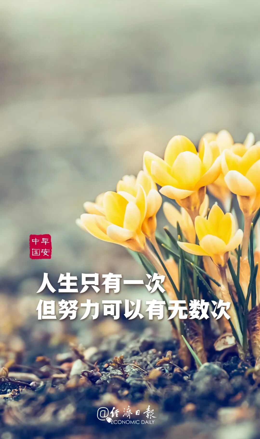 经济日报丨财经早餐 7月17日星期六 经济日报 微信公众号文章阅读 Wemp