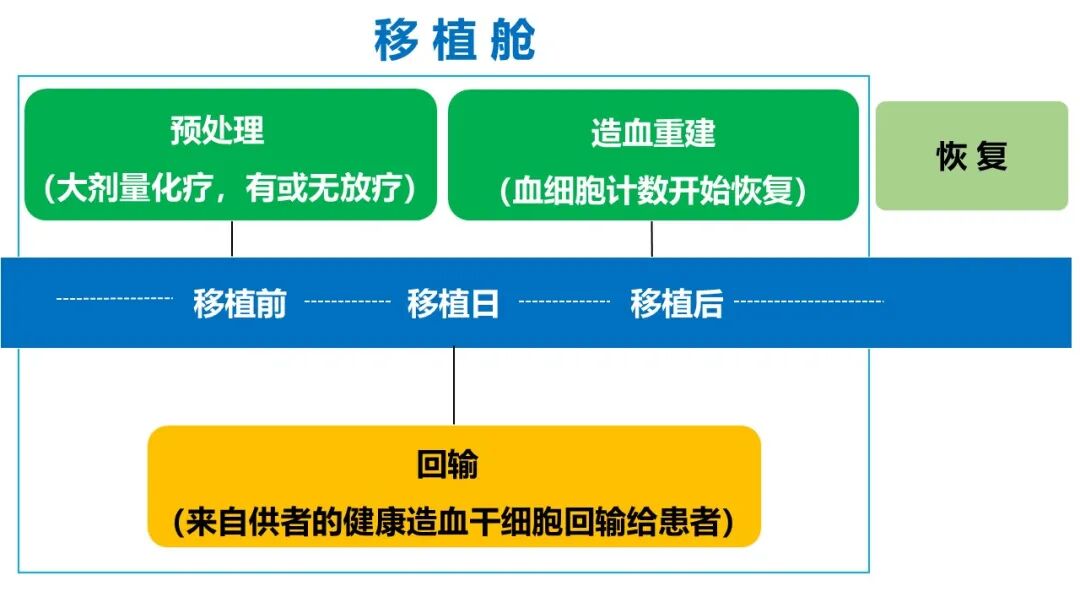 移植进行丨异基因移植患者满足什么条件才可以出移植舱?_造血干细胞移