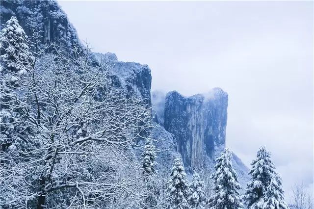 v視漫天飛雪誘惑了恩施大峽谷的春