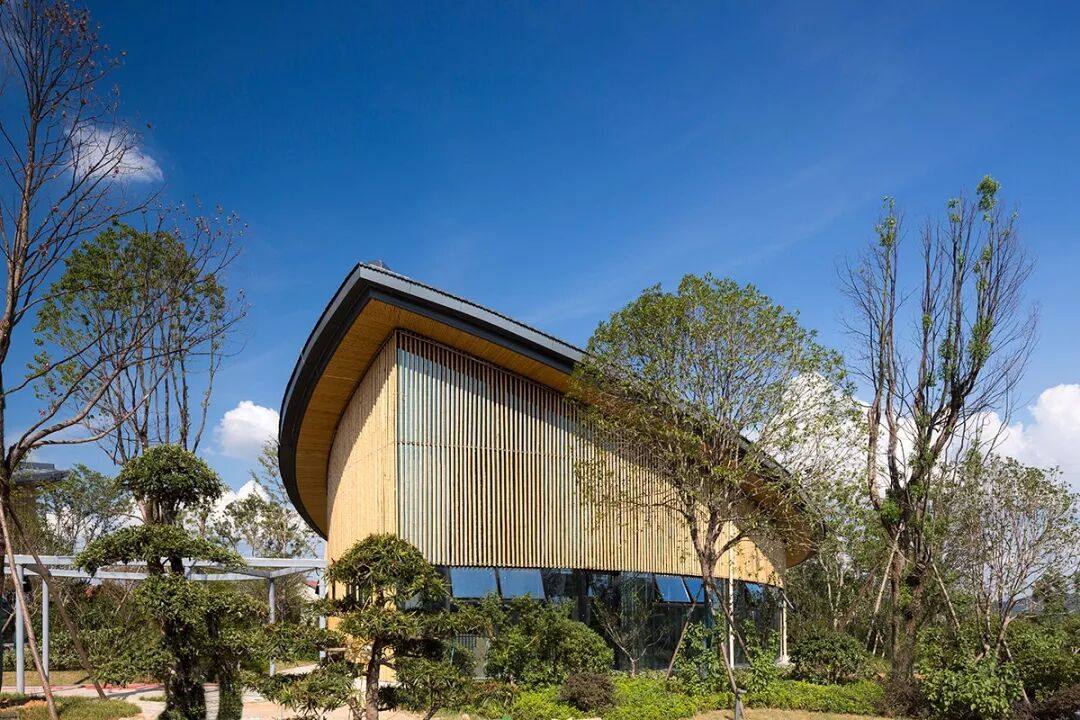 临湘市全域旅游服务中心&浮标国际垂钓园 - 马蹄室内设计网