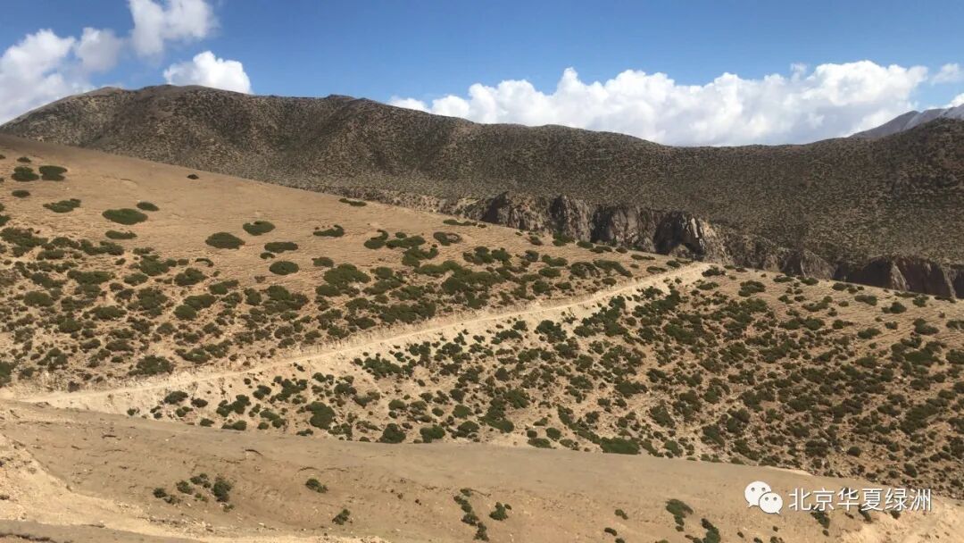 7个方面，解决矿山生态修复热点问题！的图11