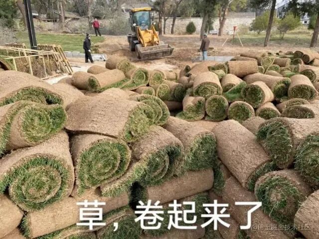 只打巅峰赛！MiniMax-M2配CodeX我太爱了～