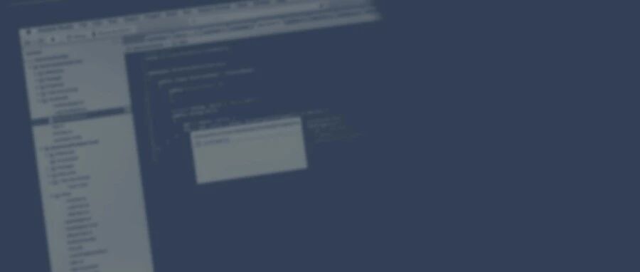 Example Image