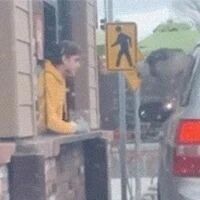 网友把车停在点餐通道点餐，然而车上的二哈居然做出这举动，笑屎！