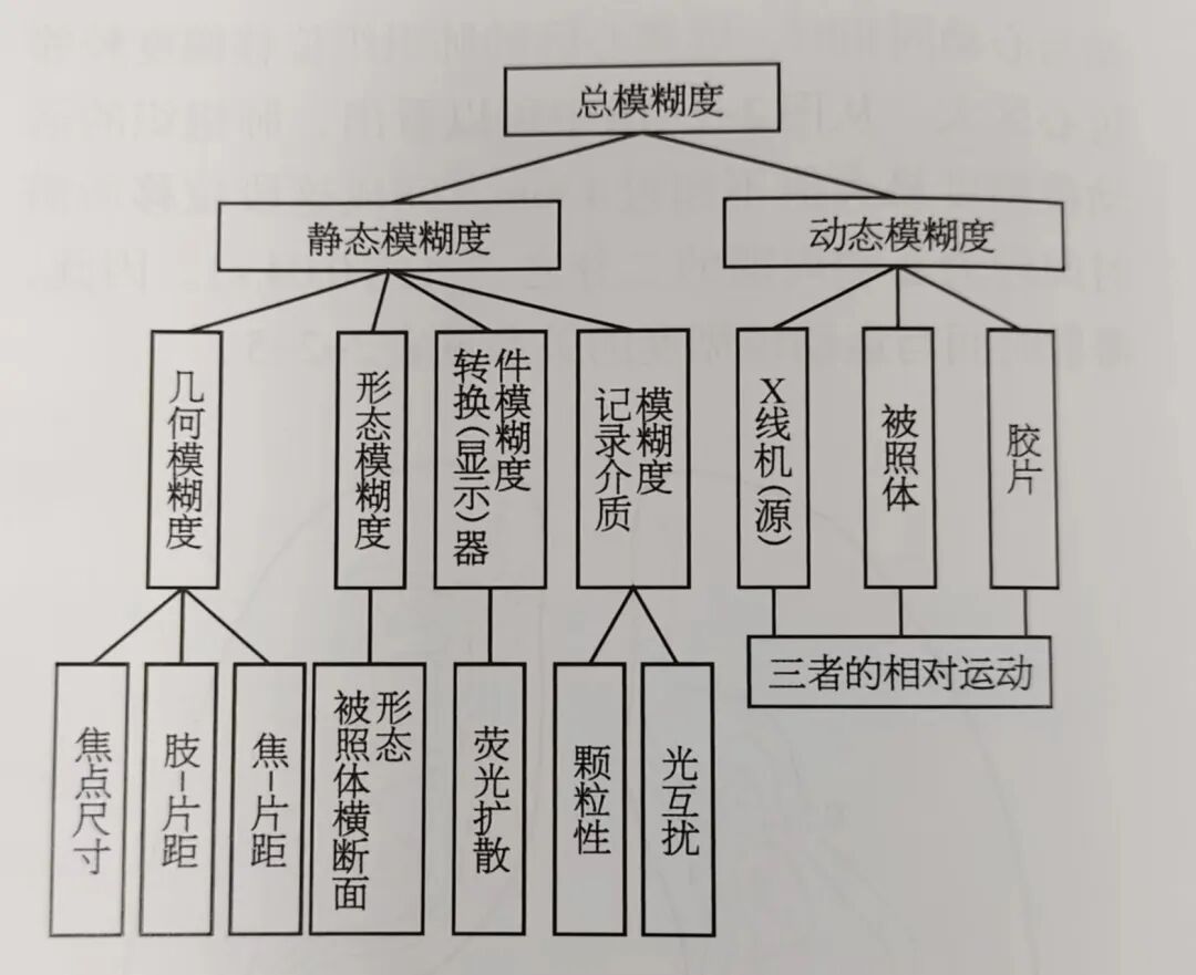 DR胶片为什么分尺寸借DR成像原理详解胸部正位摄片技术参数_https://www.jmylbn.com_新闻资讯_第7张