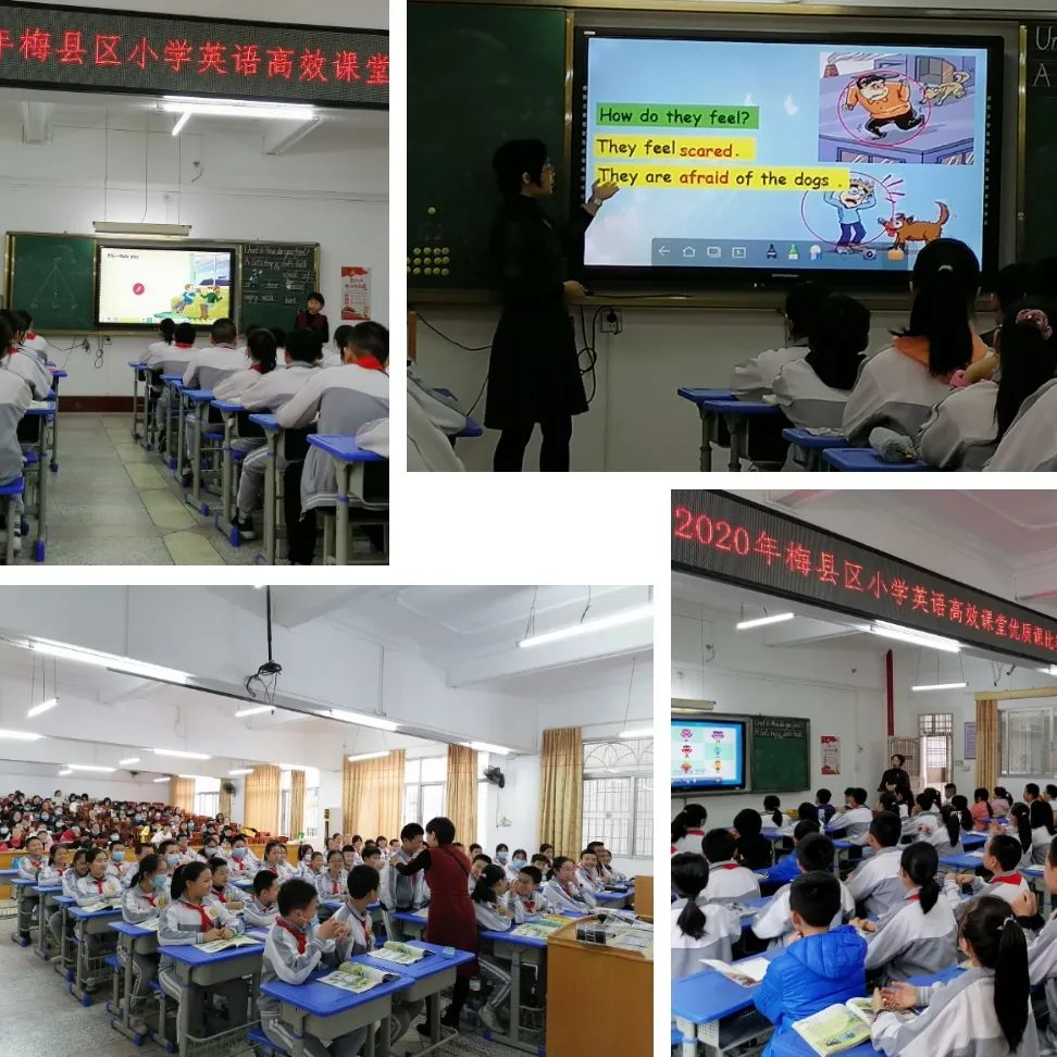 丽群小学图片