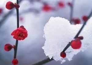 12月12日是什么星座 善心理测评 国内新闻