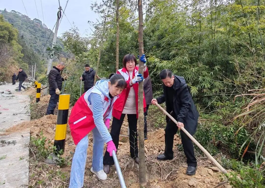 离退休干部“邻长”参与植树活动