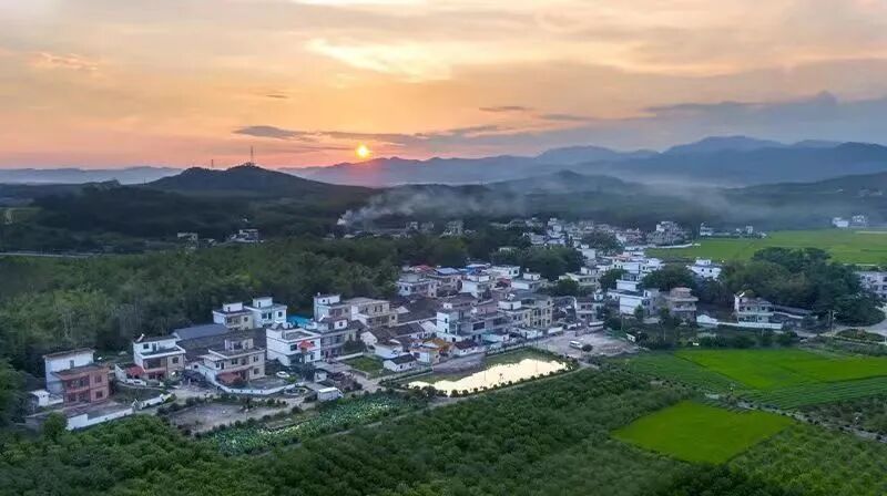 仁化县董塘镇新龙村推进百千万工程典型村培育助力村庄靓丽蝶变展新颜