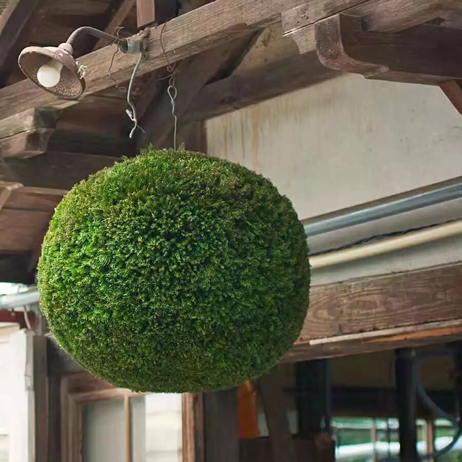 初心日语联盟 自由微信 Freewechat