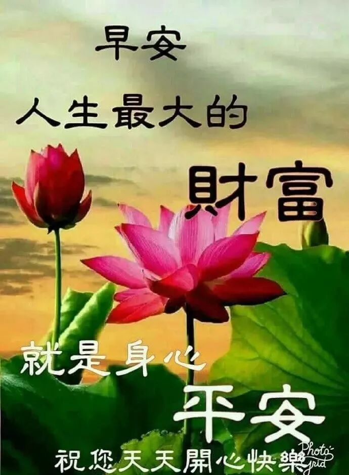 2019清晨早安祝福语漂亮图片动态表情 早安问候祝福语短信 早上好问候祝福语图片 微信公众号文章阅读 Wemp