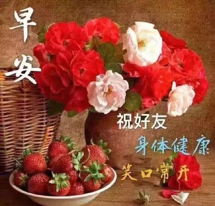 最贴心的早安问候祝福语录短信句子 暖心的早上祝福语图片 早上好问候语表情动态图片大全 微信公众号文章阅读 Wemp
