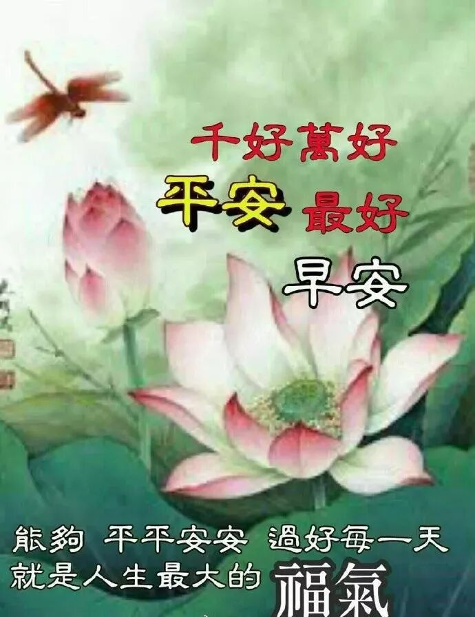 10月5日最新版早安祝福问候语动态图片 最美早安问候表情图片温馨 早安心语正能量励志最新 微信公众号文章阅读 Wemp