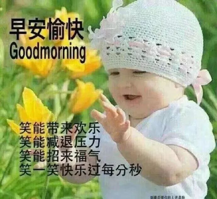 10月第4天问候大家的早上好漂亮表情图片 最美早晨好问候祝福语图片 早安心语正能量励志最新 微信公众号文章阅读 Wemp