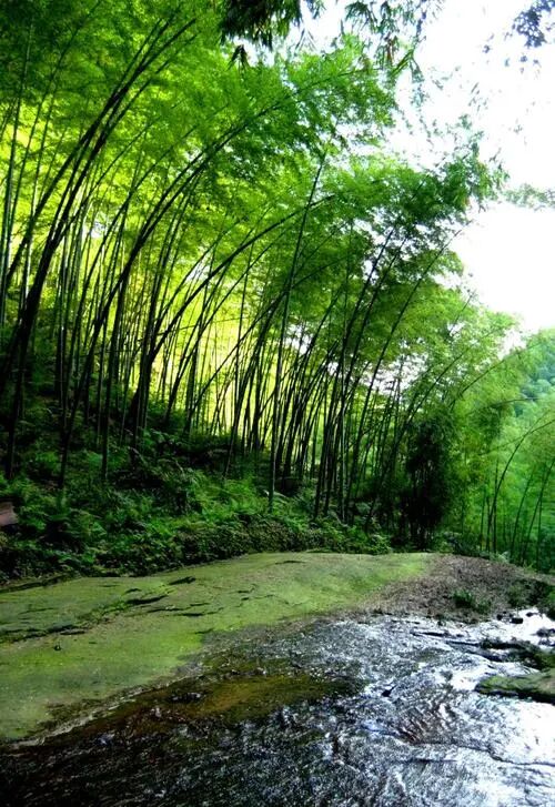 四川风俗有哪些_四川独有的风俗_四川省有什么风俗