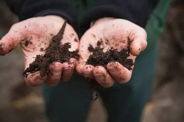 碳科普土壤碳汇一个容易被人忽视的巨大碳库