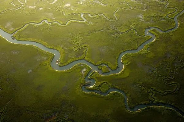 碳科普土壤碳汇一个容易被人忽视的巨大碳库