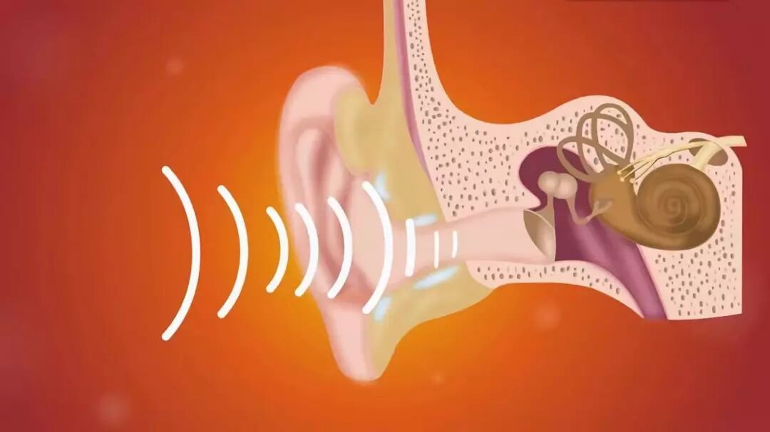 鼓膜治疗仪有什么用给鼓膜做操的“听诊器”--鼓膜治疗仪_https://www.jmylbn.com_新闻资讯_第8张