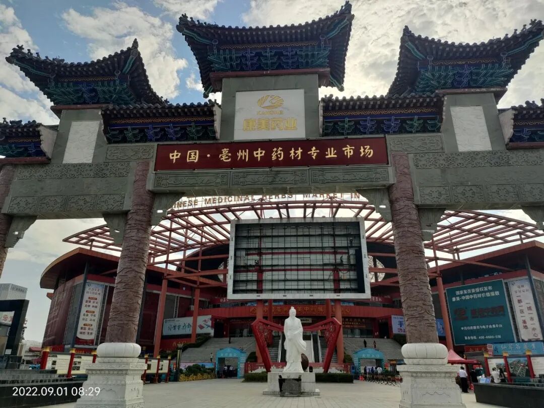 大皖新闻记者亳州行之二买卖中药材的世界级交易基地