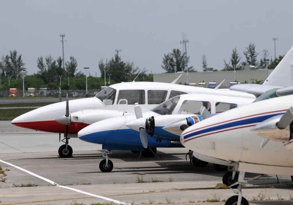 2022����2021�������- ֵ�ù�ע��ʮ������