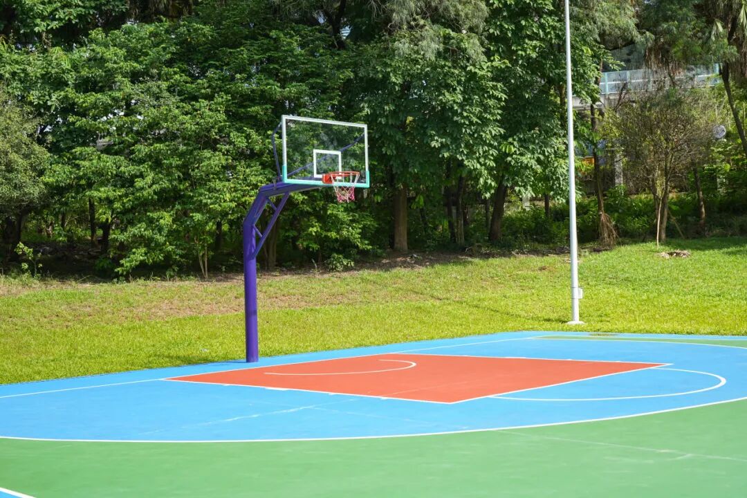 ͼƬ