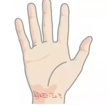 手掌痣相图解男_手掌图解男左女右_手掌图解男性