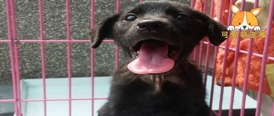 只因一句话，他们等了对方6年：答应我好好活着，六年之后我带你走....