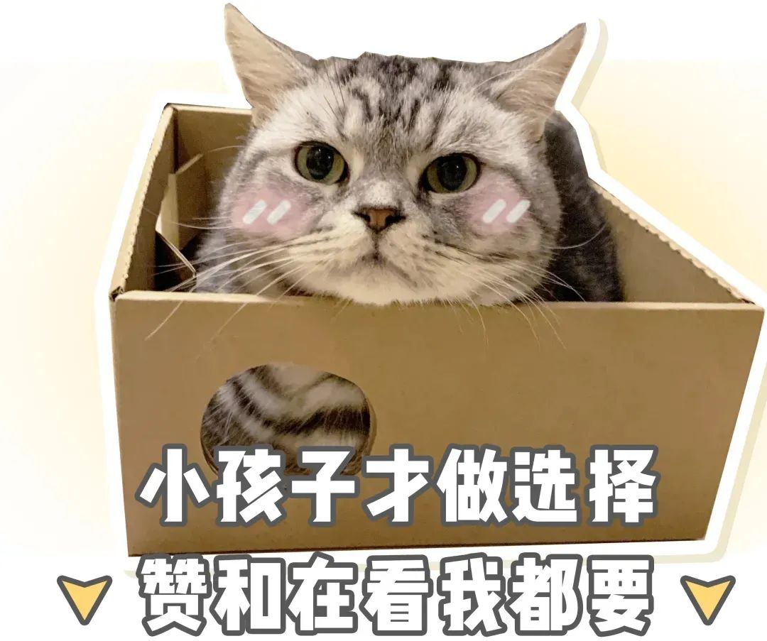 菜摊上躺了一条狗任人宰割?网友走近一看,笑喷…-微信头条网 菜摊上躺了一条狗任人宰割?网友走近一看,笑喷…
