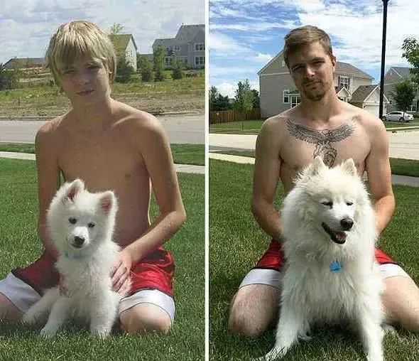 十年之後和狗狗在同一地方拍照，這組照片讓所有人淚崩..... 寵物 第8張