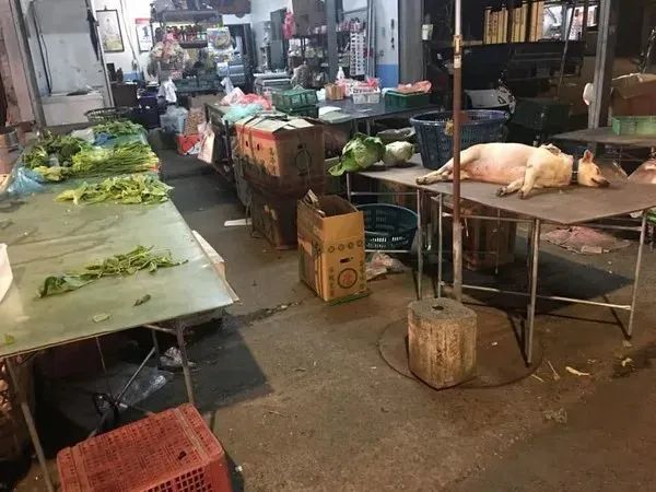 菜摊上躺了一条狗任人宰割?网友走近一看,笑喷…-微信头条网 菜摊上躺了一条狗任人宰割?网友走近一看,笑喷…